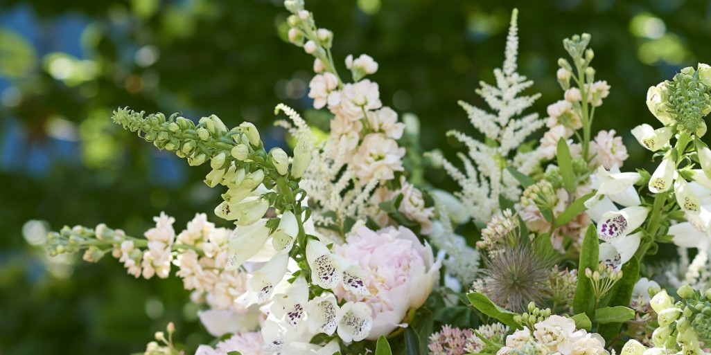 5 Top Cut Flowers for April