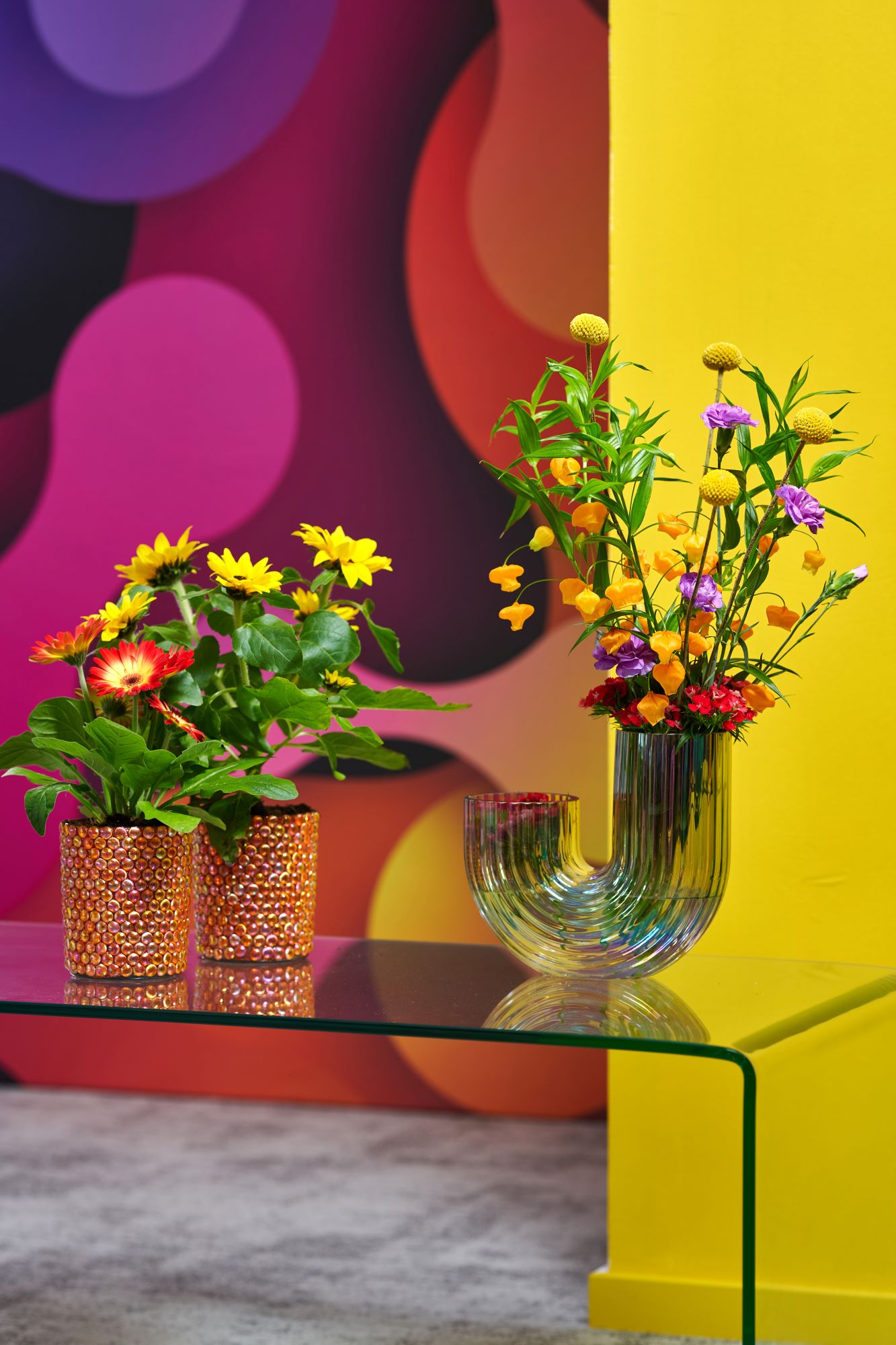 Radiant energy plants and flowers - Westflor flower wholesale
