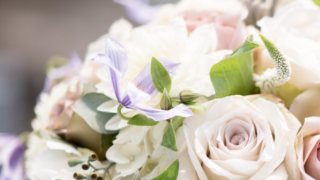 5 Top Flowers for June - Westflor Florist Supplies
