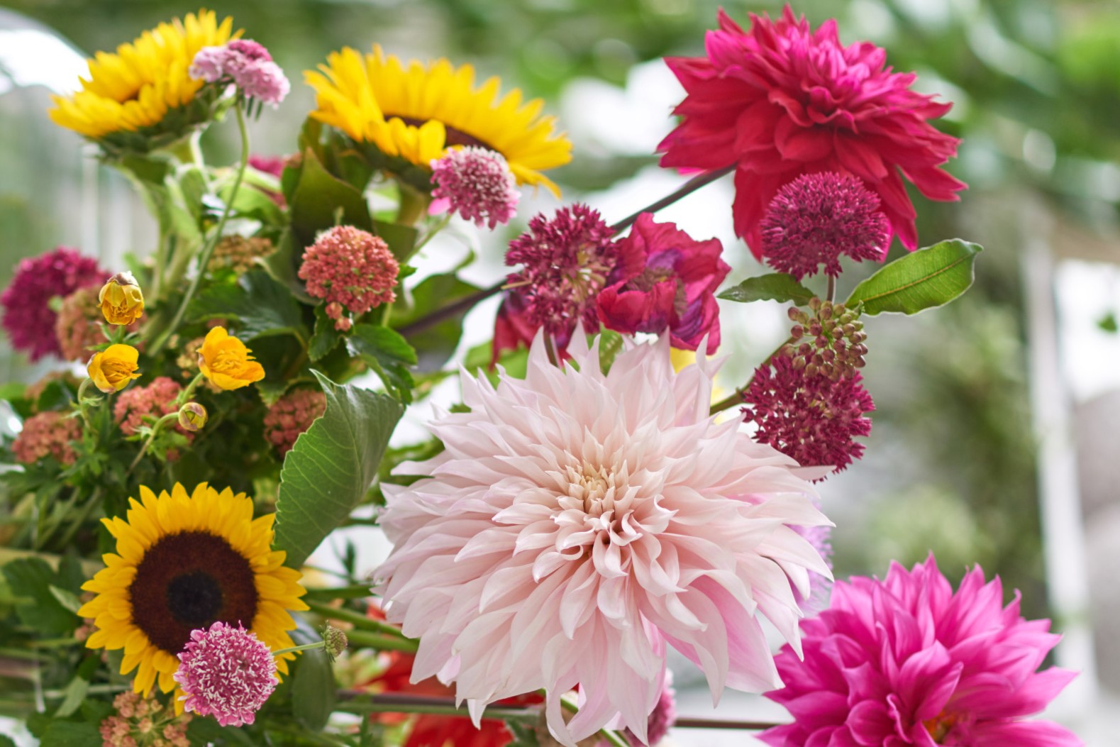 5 Top Cut Flowers for July