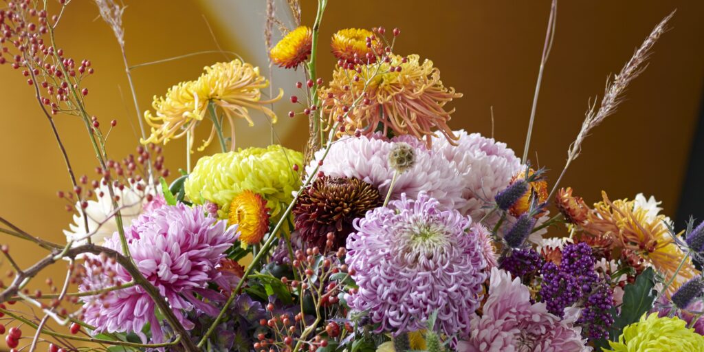 5 October Top Flowers Cut Flowers