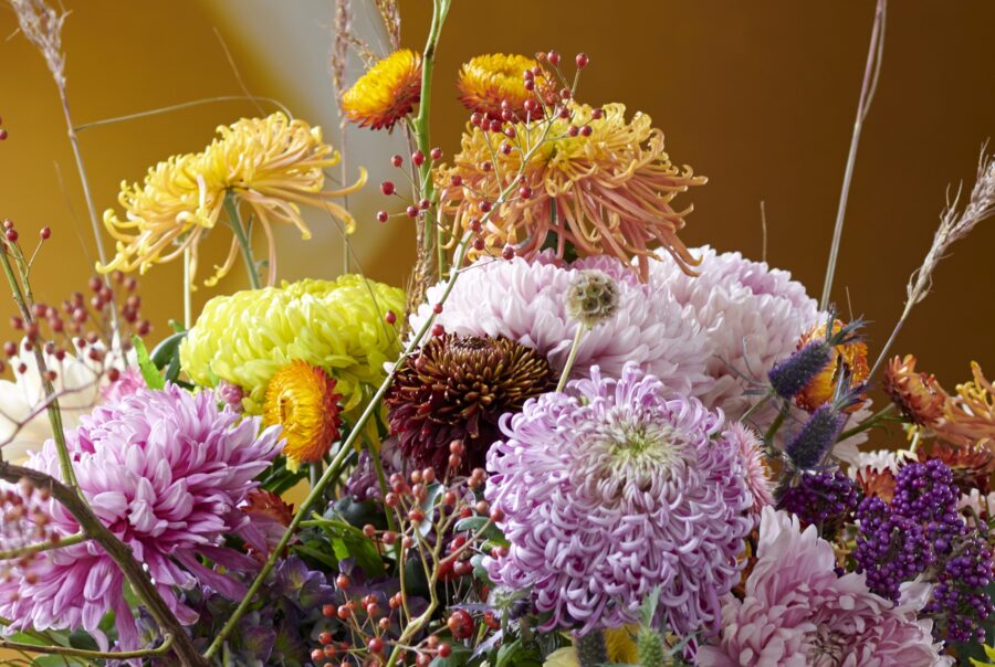 5 October Top Flowers Cut Flowers