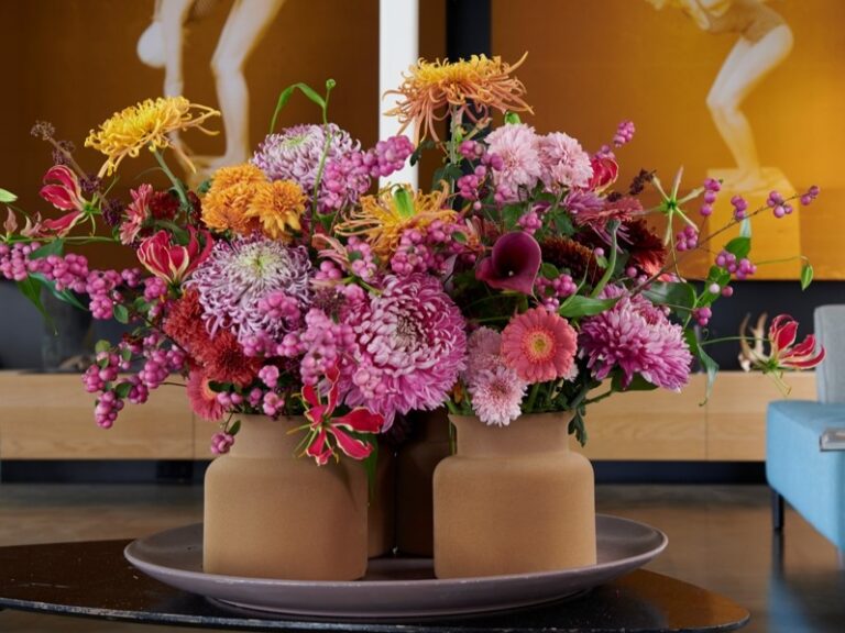 Chrysanthemum Blooms Disbud - Westflor flower wholesale