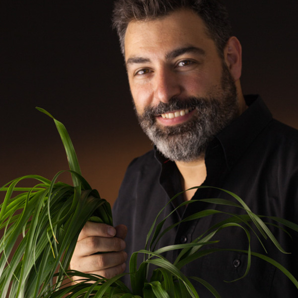 Daniel Santamaria