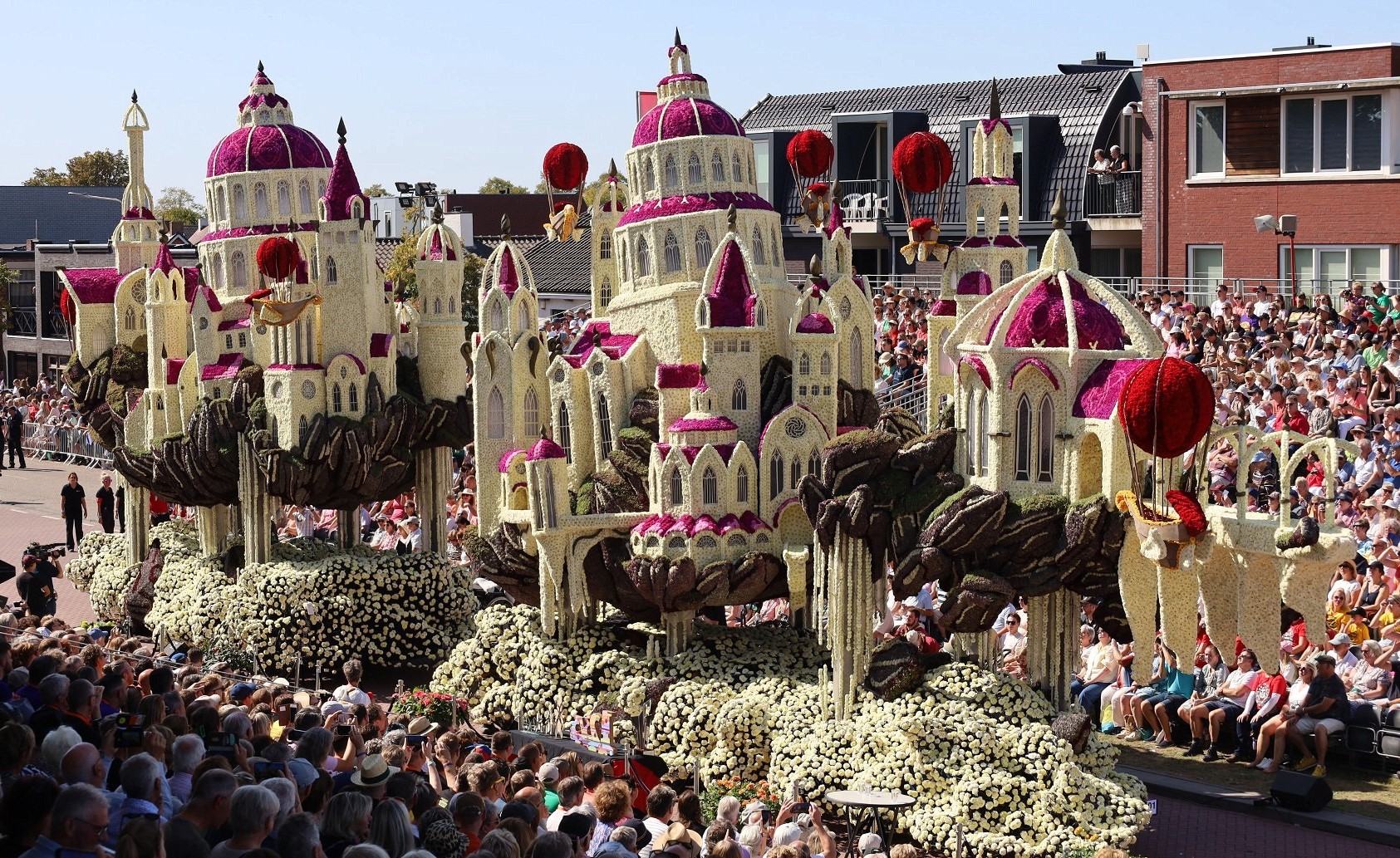 Drifting Sand - Daydreams. Corso Zundert 2025. Image ErwinMartens. Westflor Flower Wholesale