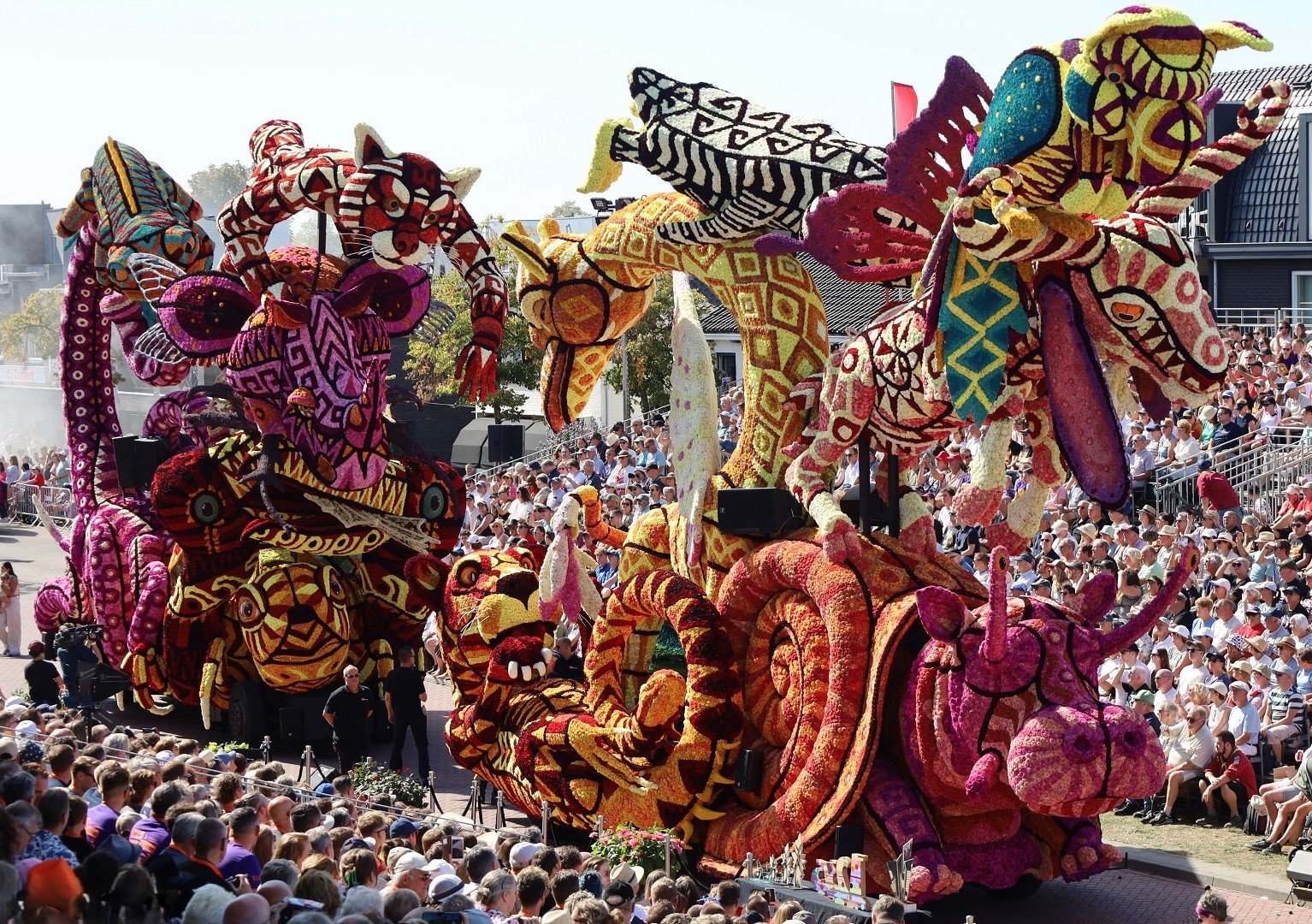 Help Each Other - Alebrijes. Corso Zundert 2025. Image ErwinMartens. Westflor Flower Wholesale