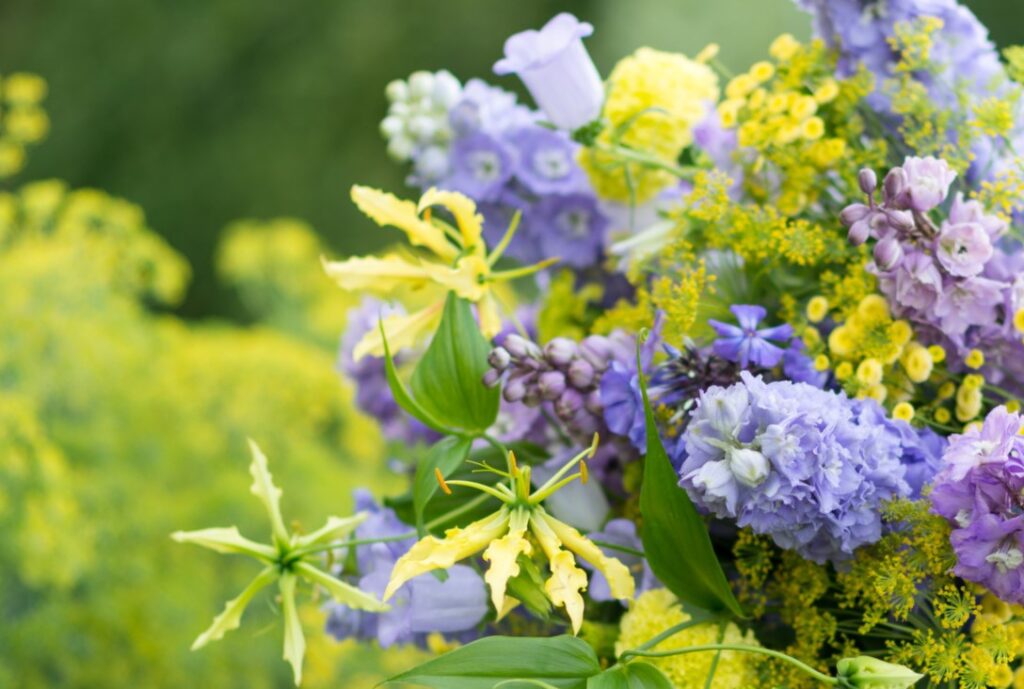 Westflor BFA Industry Award Finalist 2025