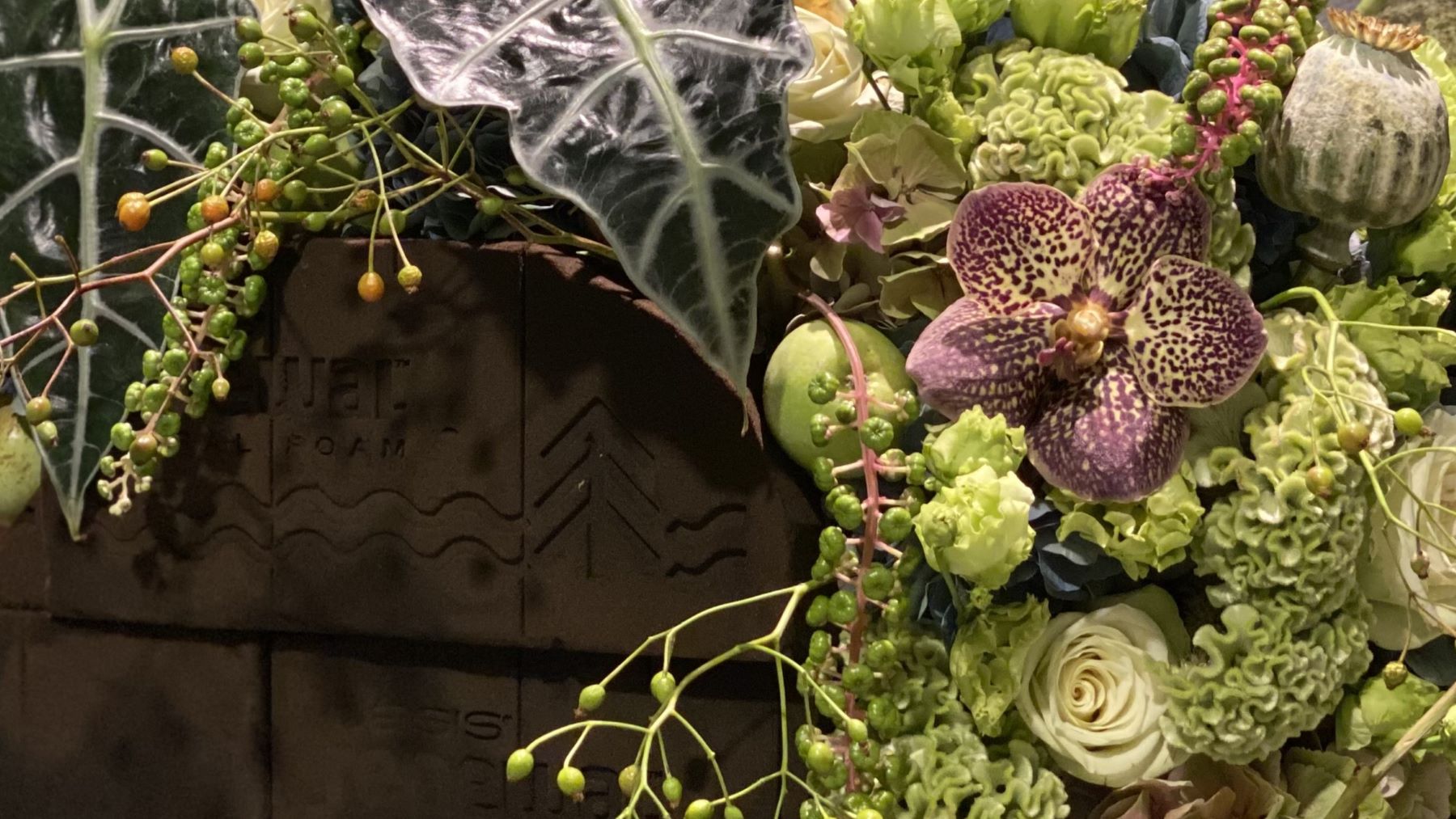 OASIS® Renewal™ Floral Foam – AVAILABLE NOW!