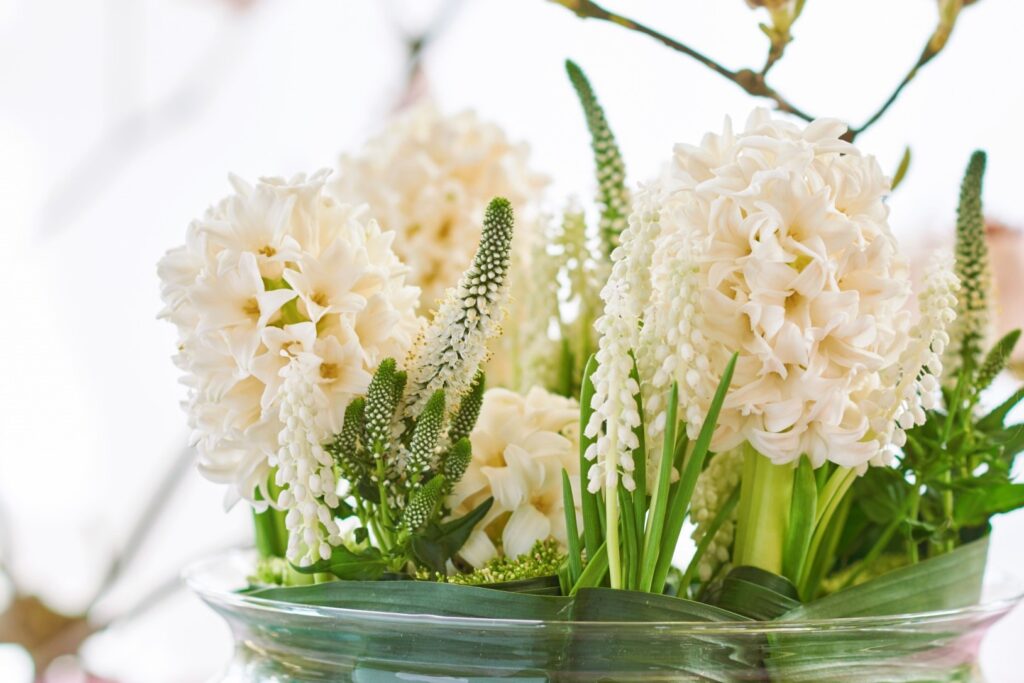 5 Top cut flowers for January 2026