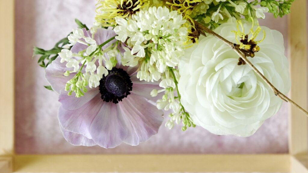 5 Top Flowers for February 2026 - Westflor Florist Supplies