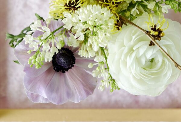 5 Top Flowers for February 2026 - Westflor Florist Supplies