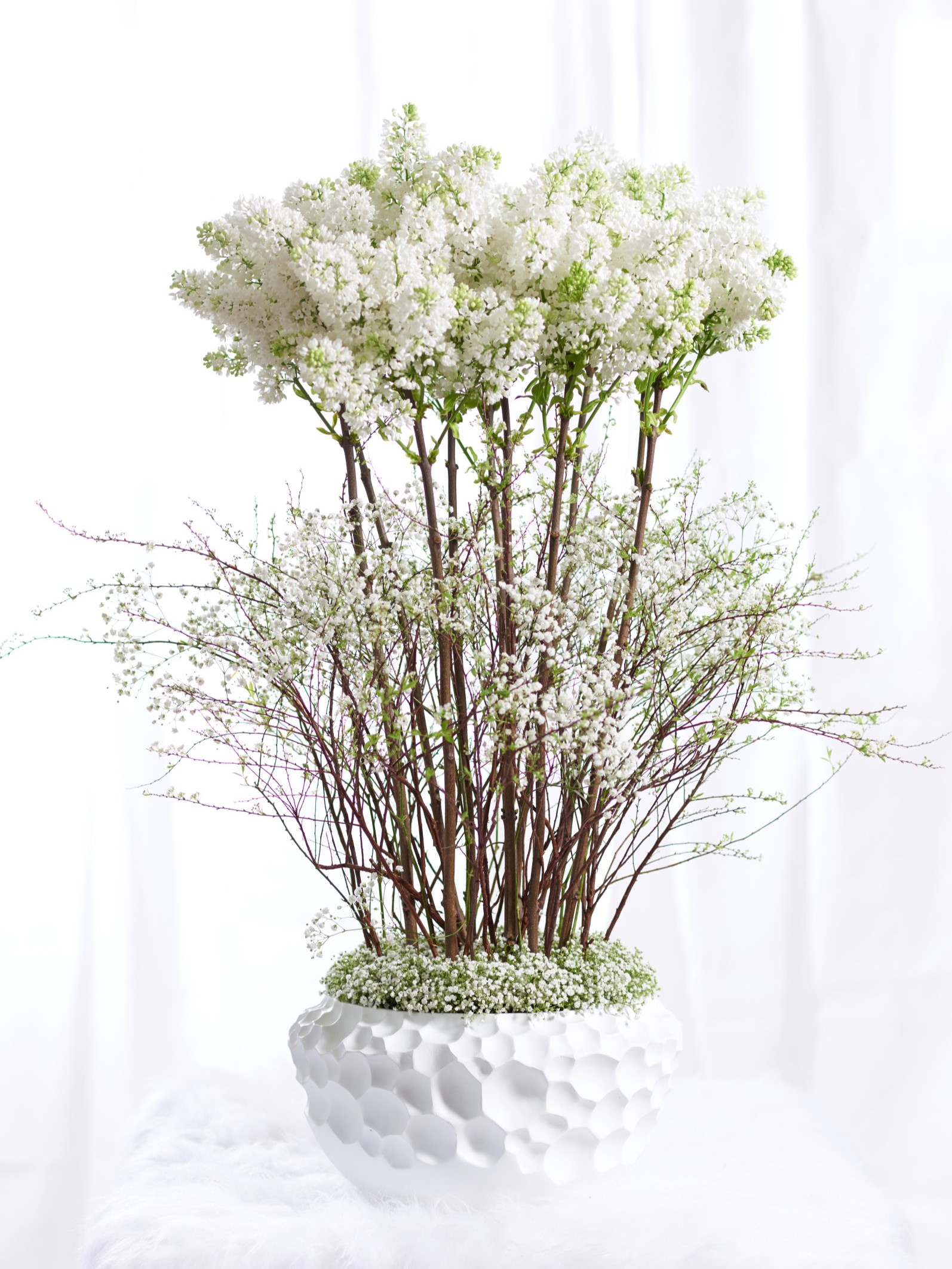 Flowering shrubs - Westflor flower wholesale