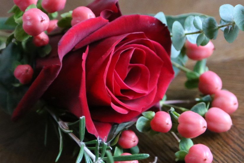 Hypericum romance with red rose