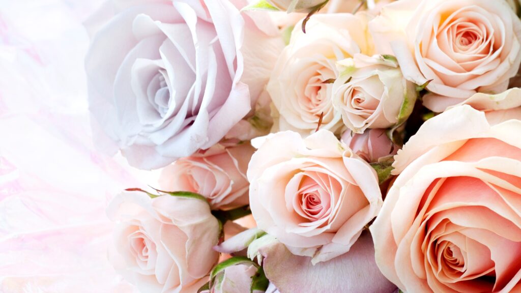 Thank you Florists from Westflor Award Winning Flower Wholesale