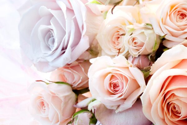 Thank you Florists from Westflor Award Winning Flower Wholesale