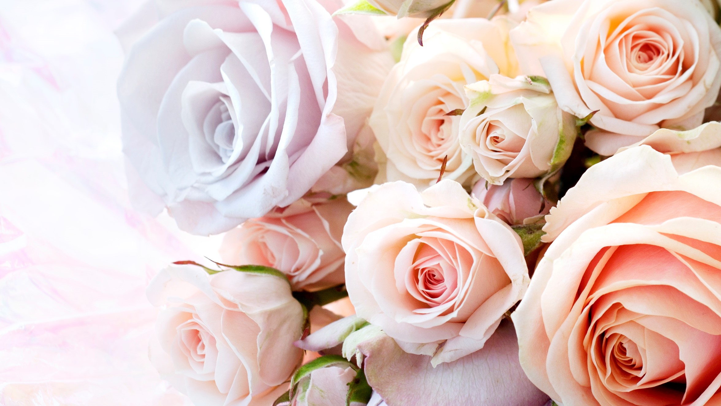 Thank you… Pause, Then Get Ready!