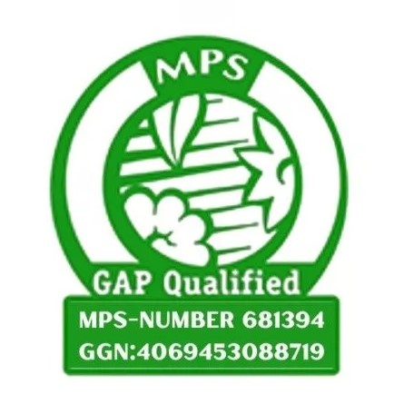 Double Check Lily MPS GAP qualification logo - meet the grower