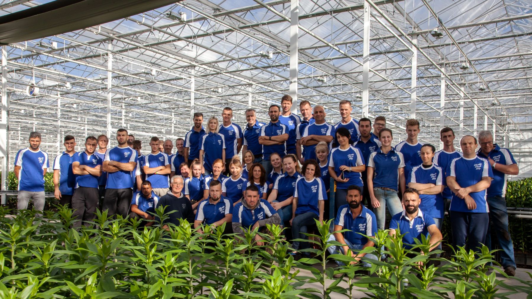 Double check lily - Team - meet the grower