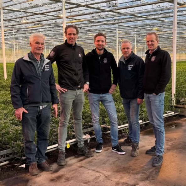 Double check lily and Qualily - meet the grower