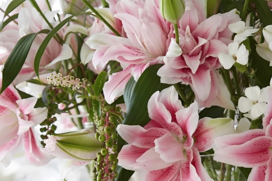 Double check lily - meet the grower