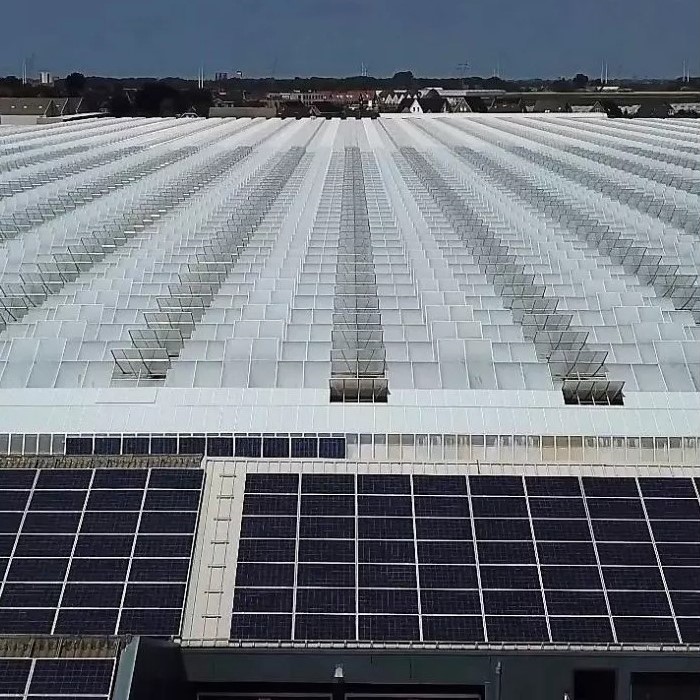 Double check lily - roof solar panels - meet the grower