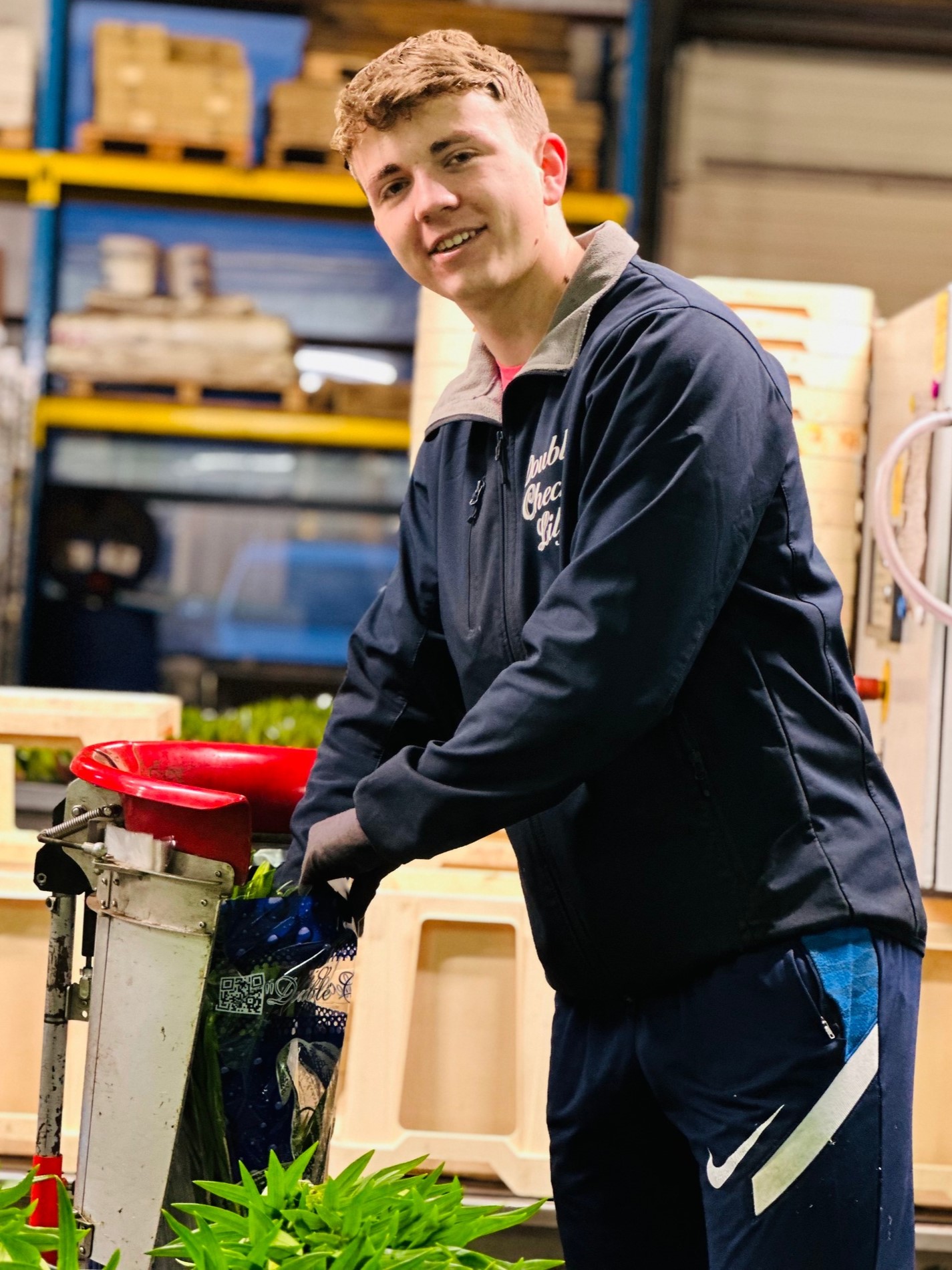 Double check lily - sleeving - meet the grower