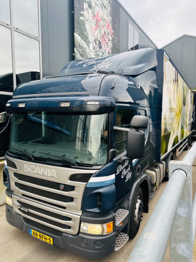 Double check lily - transporting - meet the grower