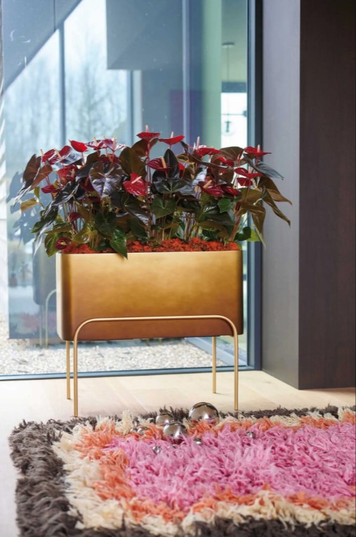 Orbit Revive florist trend inspiraton image 2