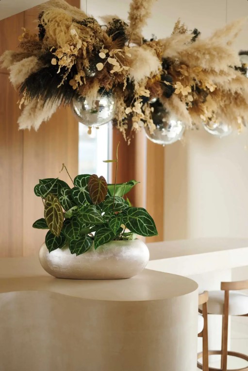 Orbit Revive florist trend inspiraton image 5