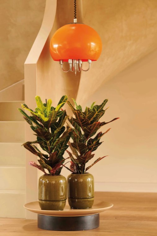 Orbit Revive florist trend inspiraton image 8