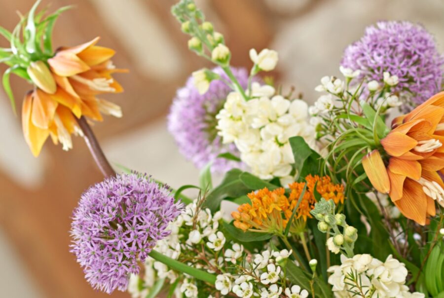 Top 5 flowers for April 2026 - Westflor flower wholesale