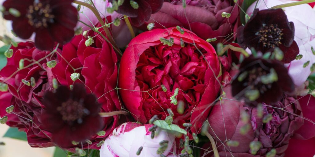 5 top cut flower for May 2026