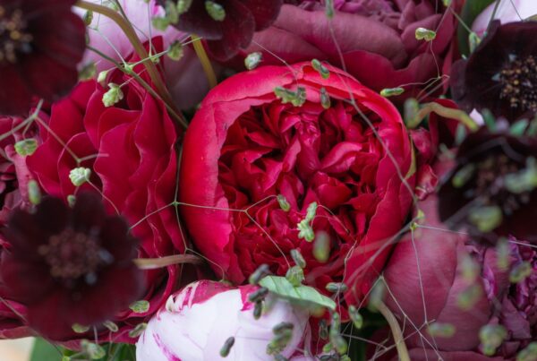 5 top cut flower for May 2026