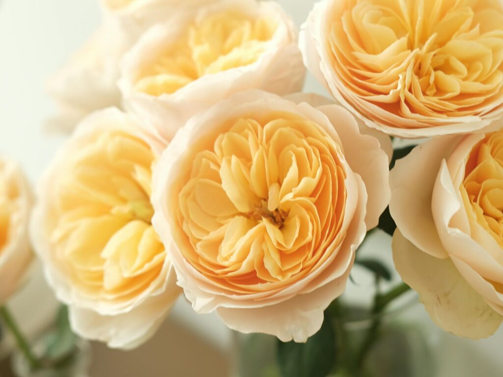 Ascension Day Buying times - Florist Info