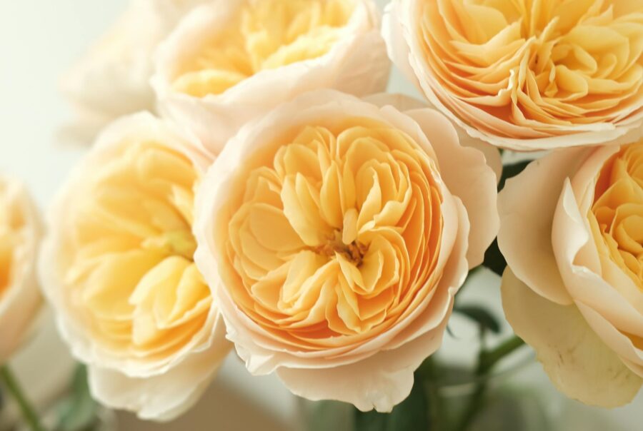 Ascension Day Buying times - Florist Info