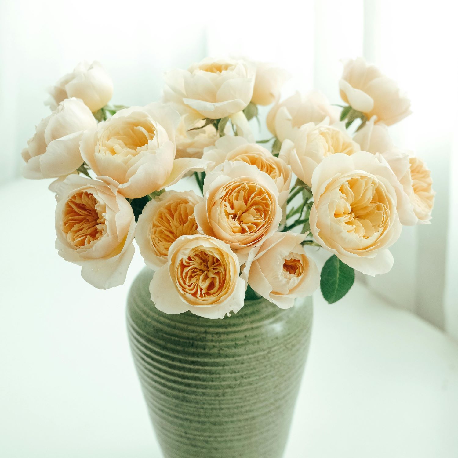 Ascension Day Buying times - Florist Info. Westflor flower wholesale