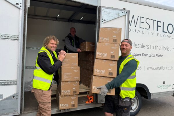 Product for RHS Chelsea flower show South Africa Exhibit - Westflor flower wholesale Product for RHS Chelsea flower show South Africa Exhibit - Westflor flower wholesale