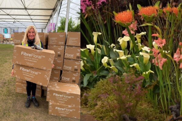 South Africas Gold & Best Exhibit at Chelsea Flower Show 6 South Africas Gold & Best Exhibit at Chelsea Flower Show 6