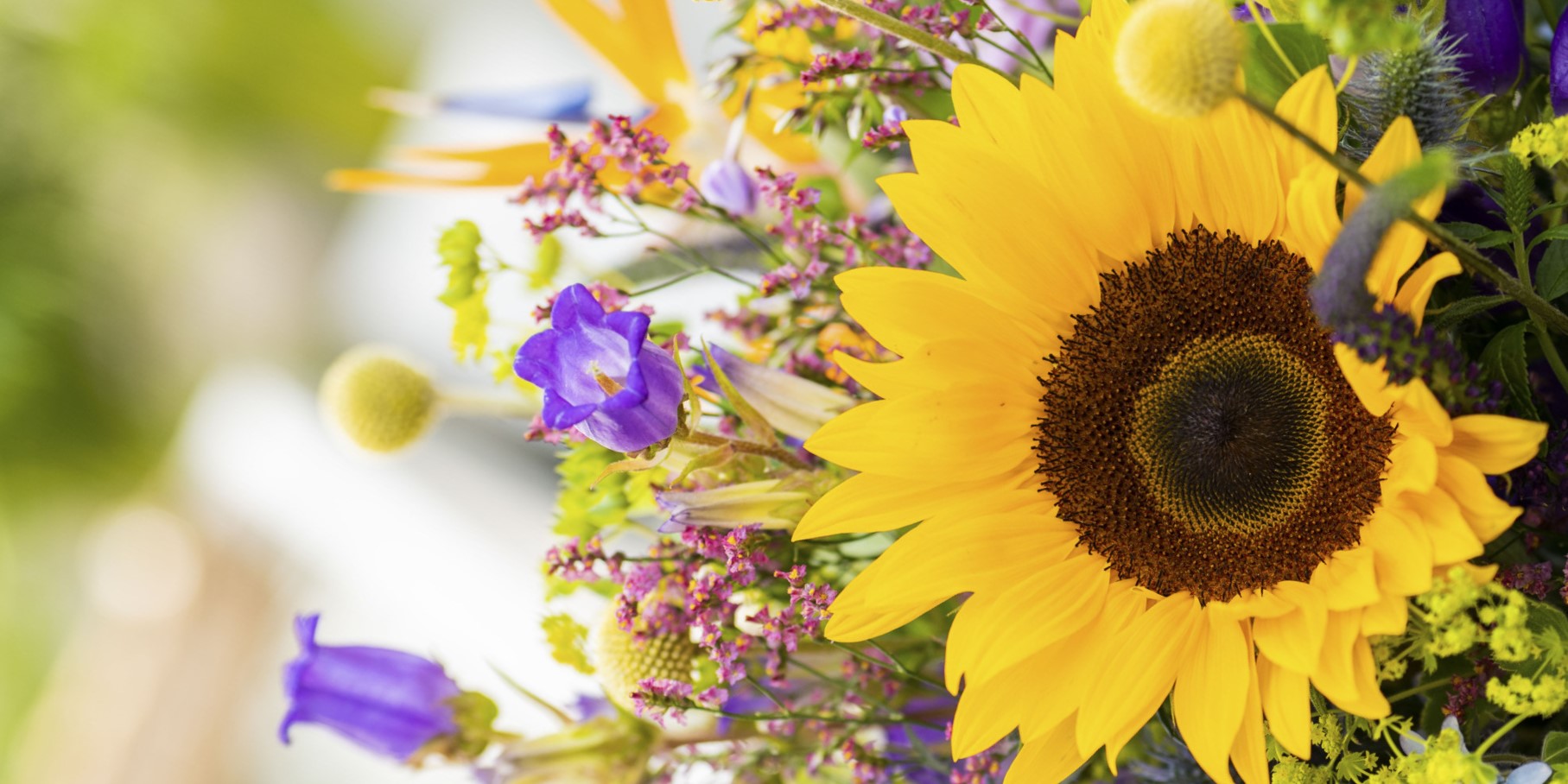 5 Top Cut Flowers for July