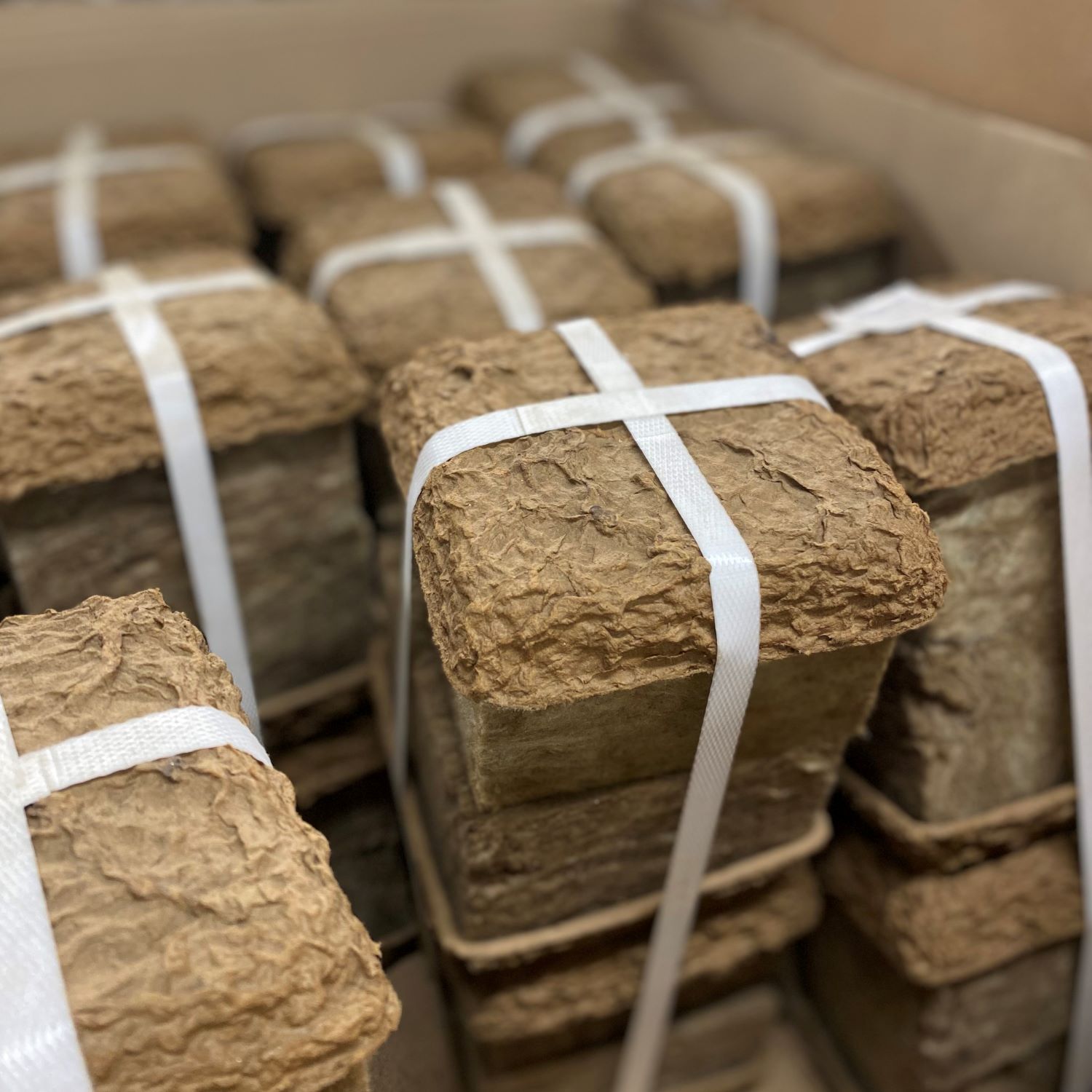 Biolit with Florafibre foam - Westflor Florist Supplies