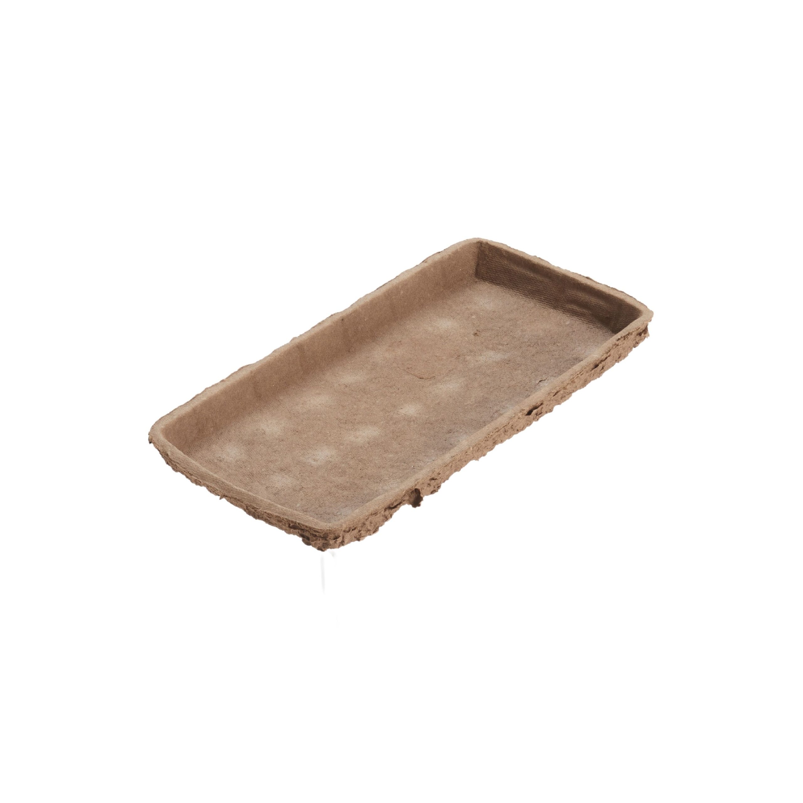 Oasis Biolit single brick bio base tray