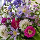 5 Top cut flowers for August 2026 - Westflor florist wholesale