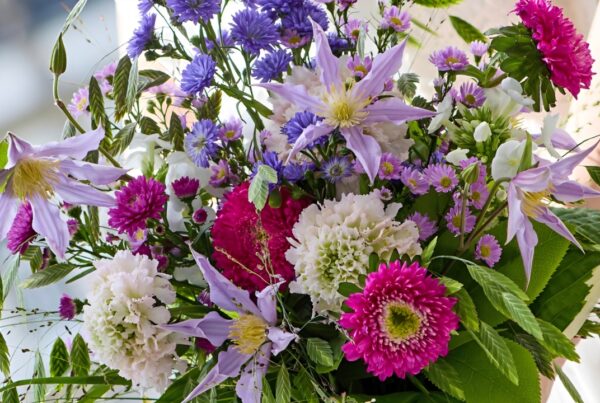 5 Top cut flowers for August 2026 - Westflor florist wholesale