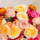 5 Top flowers for September 2026
