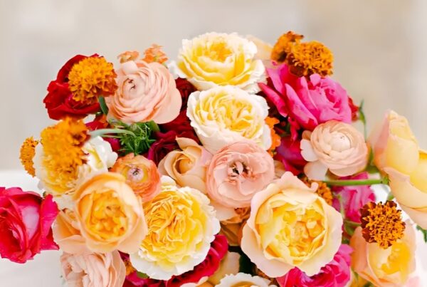 5 Top flowers for September 2026