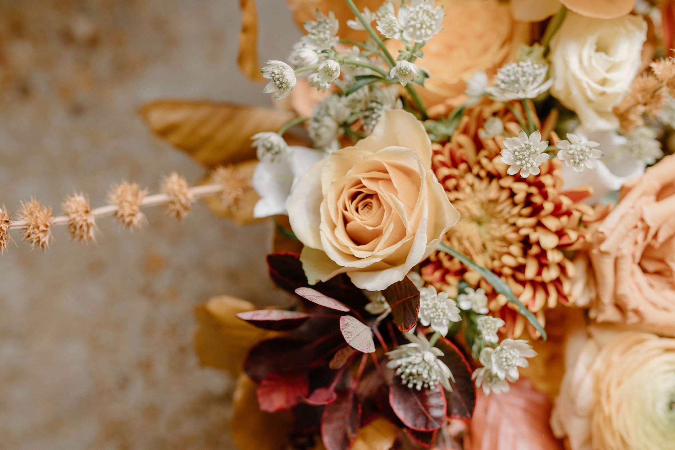 Can You Give Your Flowers a Second Life with Floral Angels?