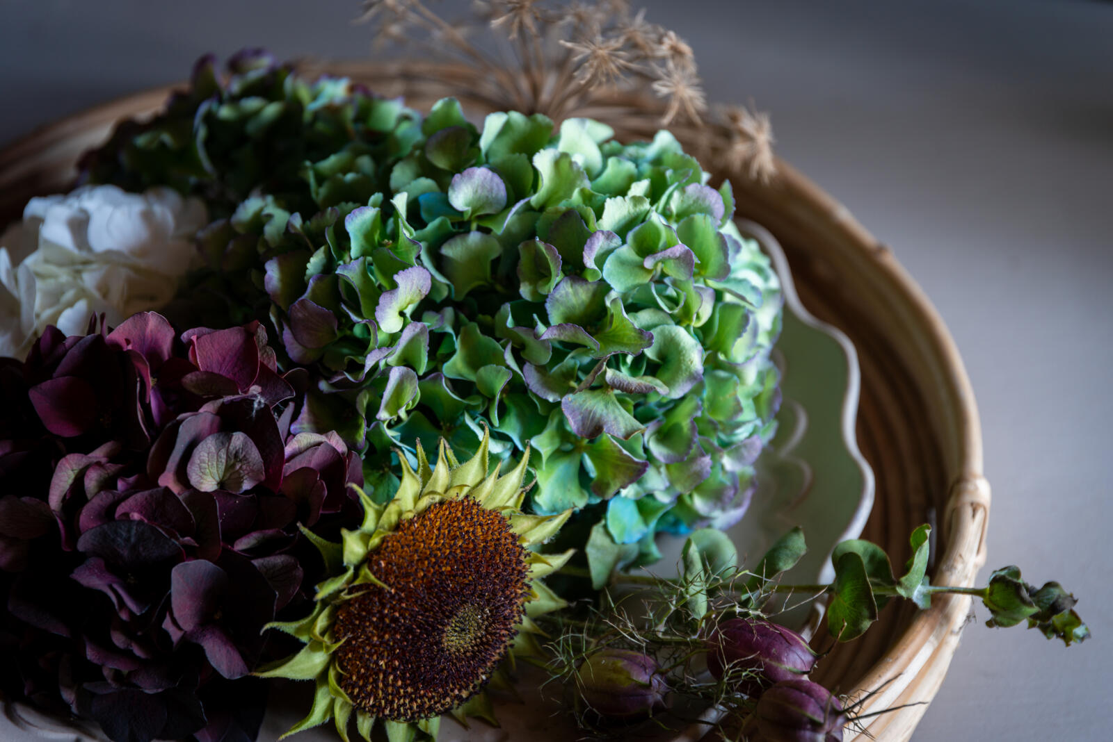 Black Ruby and Cassanova Classic hydrangea arrangement - Hydrangea World - Westflor Flower Wholesale