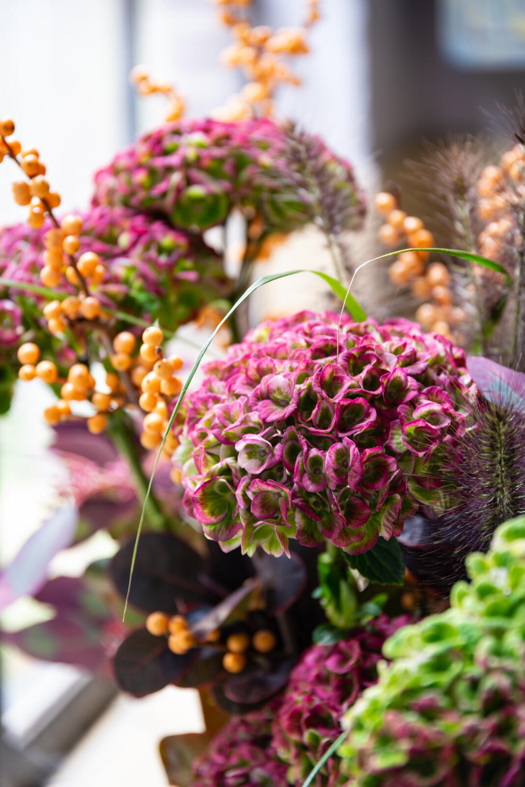 Pink green Classic hydrangea with gold Ilex - Hydrangea World - Westflor Flower Wholesale.