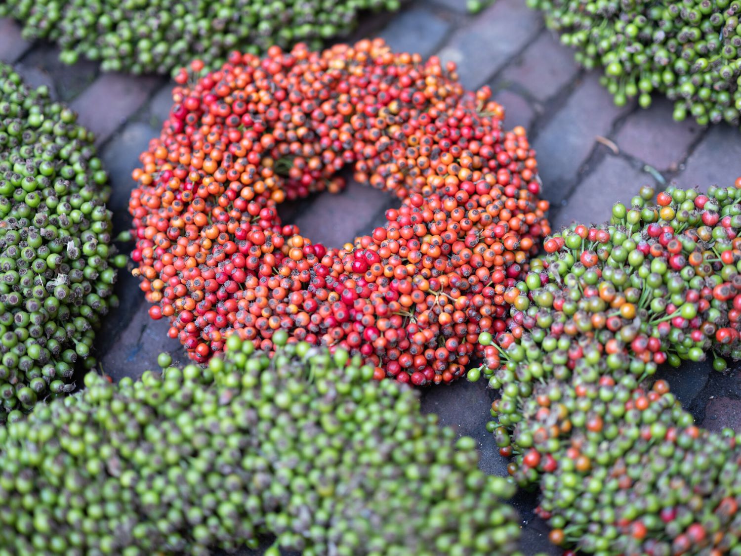 Rosehip Rozenbottel wreaths - Westflor